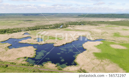 Aerial view of Kushiro Marsh Shirarutoro 56572297