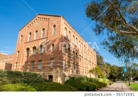 洛杉磯加州大學洛杉磯分校 56572691