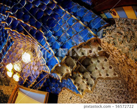 Casa Vicens 56572722