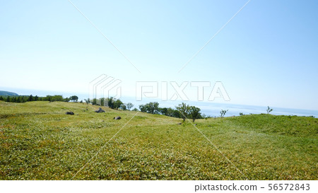 Shiretoko Five Lakes Sugawara 56572843