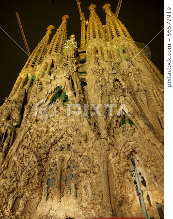 Sagrada Familia  56572919