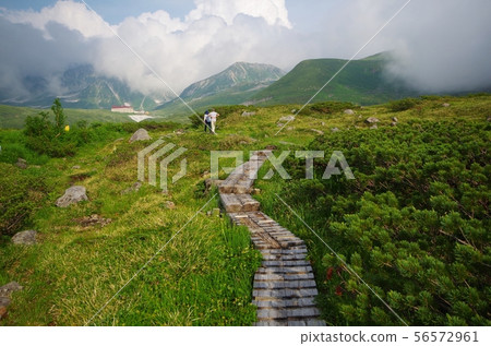 Tengudaira wooden path Tengudaira wooden path 56572961