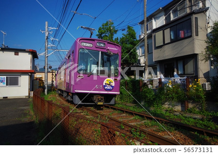 蘭登的紫色火車 56573131