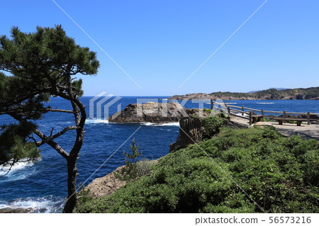 日本海的風景 56573216