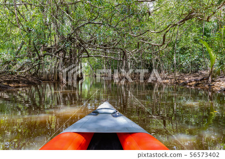 A little Amazon of Thailand A little Amazon of Thailand 56573402