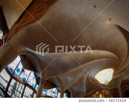 Casa Batlló Casa Batlló 56573429