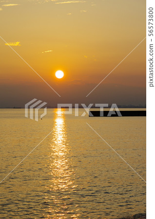 夕陽 56573800