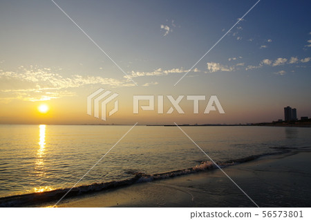 Beach of the Komi River (Chiba City) 56573801