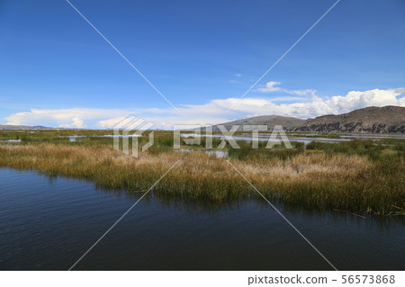 Lake Titicaca Totra 56573868