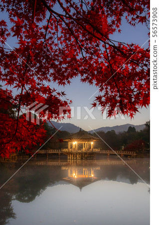 黎明的噪音 黎明的噪音 56573908