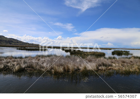 Totra Lake Titicaca 56574307