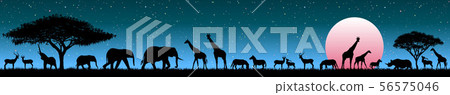 Animals in the wild savannah at sunrise Animals in the wild savannah at sunrise 56575046