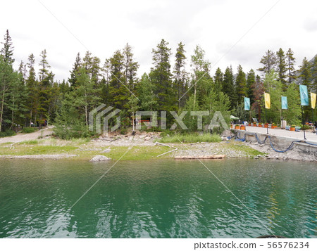 Lake Minnewanka,橋樑和樹木 Lake Minnewanka,橋樑和樹木 56576234