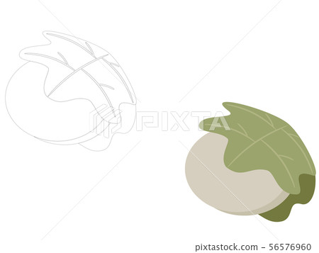 And fruit cypress 56576960