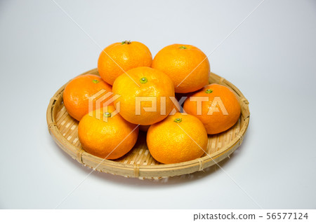 眾議院橘子 56577124