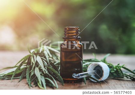 Cannabis herb and leaves with oil extracts in 56577403