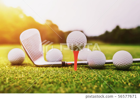 golf ball on green grass with sunset golf ball on green grass with sunset 56577671
