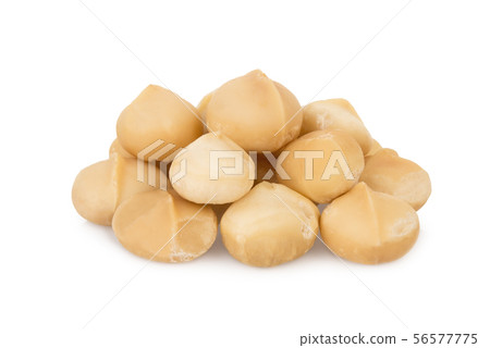 shelled macadamia fruit isolated on white 56577775