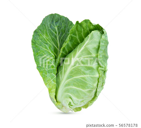 fresh green pointed cabbage isolated on white fresh green pointed cabbage isolated on white 56578178
