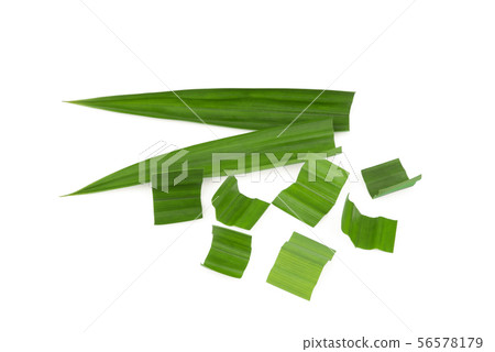 fresh green pandan leaves isolated on white fresh green pandan leaves isolated on white 56578179