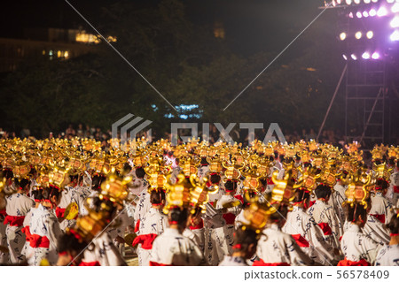 Festival Festival 56578409