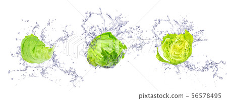 生菜和飛濺（新鮮生菜） 56578495
