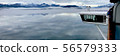 Alaska_Glacier Bay 56579333