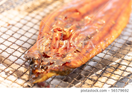 炭烤鰻魚(木炭烤架,烤架,烤三文魚,烤燒烤架,烤燒烤架,烤三文魚,露營烤三文魚,烤三文魚) 炭烤鰻魚(木炭烤架,烤架,烤三文魚,烤燒烤架,烤燒烤架,烤三文魚,露營烤三文魚,烤三文魚) 56579692