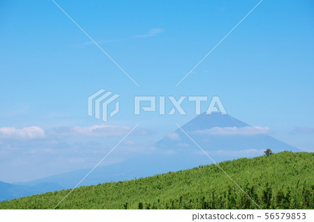 夏季富士 夏季富士 56579853