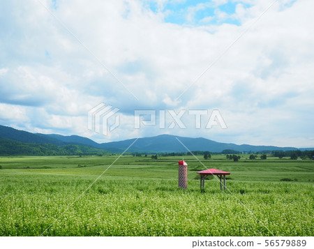 Horokanai蕎麥麵場 56579889