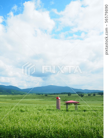 Horokanai蕎麥麵觀察台 56579890