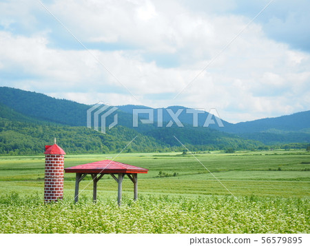 北海道的美景 北海道的美景 56579895