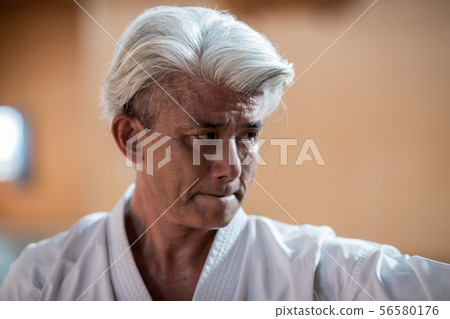 空手道 空的手 年長 56580176