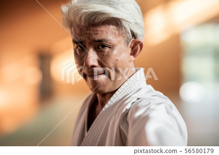 karate, empty hand, senior 56580179