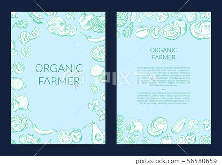 Vector handdrawn fruits and vegetables card, flyer template Vector handdrawn fruits and vegetables card, flyer template 56580659