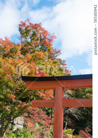 Katsuo-ji,大阪秋葉 Katsuo-ji,大阪秋葉 56580942