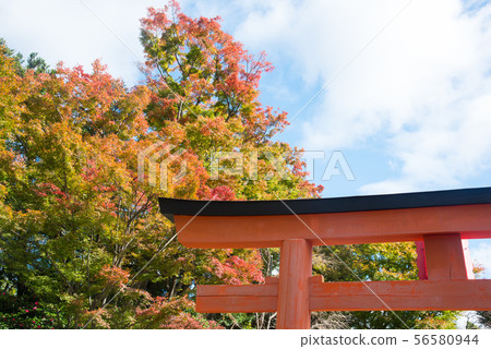 Katsuo-ji,大阪秋葉 Katsuo-ji,大阪秋葉 56580944