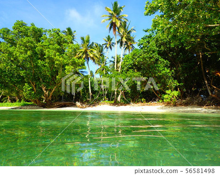 Uninhabited beach, crystal green sea Uninhabited beach, crystal green sea 56581498