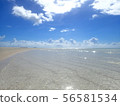 Beautiful backlit crystal blue sea and beach 56581534