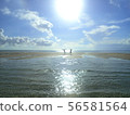 Backlit people on a tropical beach 56581564