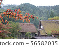 An old private house in autumn 56582035