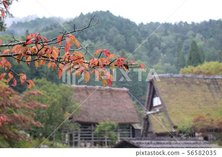 An old private house in autumn An old private house in autumn 56582035