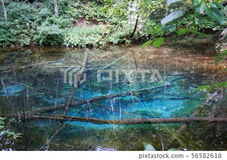 God's Pond God's Pond 56582618