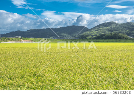 國家風景 - 三重縣 56583208