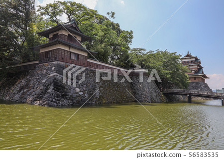 [Nagano] Takashima Castle 56583535