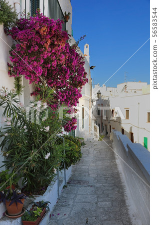 Narrow alleyway in Ostuni, Apulia, Italy Narrow alleyway in Ostuni, Apulia, Italy 56583544