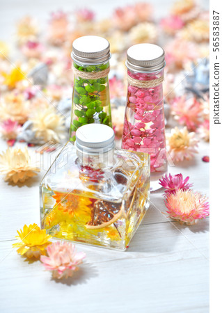 兩個市售植物標本館(粉紅色/綠色)和一個手工製作的原始植物標本館(黃色)。雜貨 兩個市售植物標本館(粉紅色/綠色)和一個手工製作的原始植物標本館(黃色)。雜貨 56583887