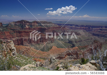 大峽谷無苗條（帝國點） 56583888