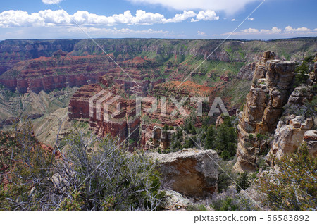 Grand Canyon No Slim (Imperial Point) 56583892