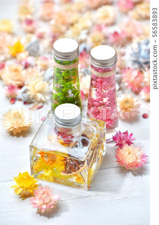 Two commercially available herbarium (pink / green) and one handmade original herbarium (yellow). Miscellaneous goods Two commercially available herbarium (pink / green) and one handmade original herbarium (yellow). Miscellaneous goods 56583893